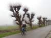 NWK 2014 029_small.jpg